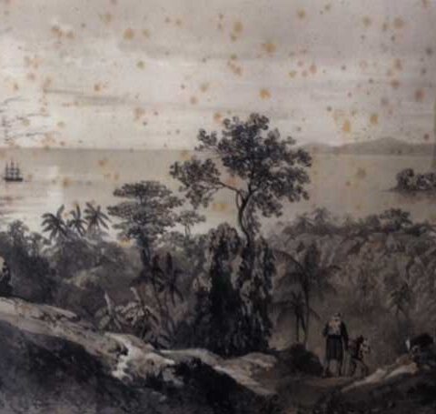 Foxing Restoration - how do i get rid of foxing?