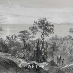 After restoration of foxing on watercolour of jungle scene