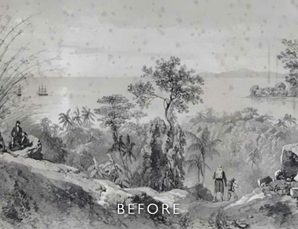 before restoration with foxing on watercolour of jungle scene