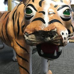 Paper mache tiger with bitten off nose - restoration
