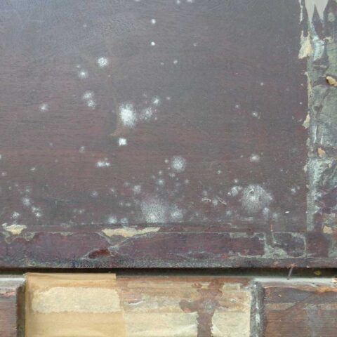 Mould spores on the rear of artwork - Environmental threats to artwork and fine furniture
