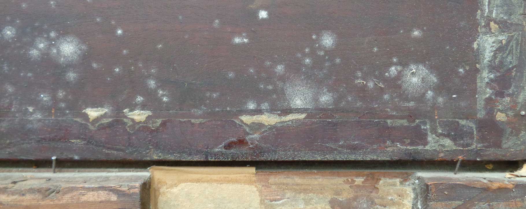 Mould patches on the reverse of artwork