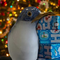 Give restoration as a gift - penguin