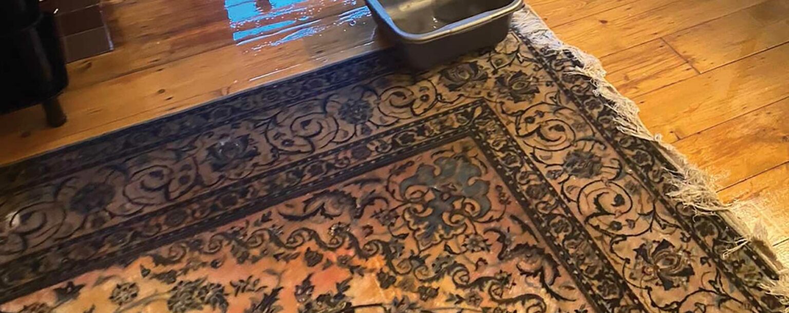 Case Study Water Damaged Nain Persian Rug Fine Art Restoration Co.