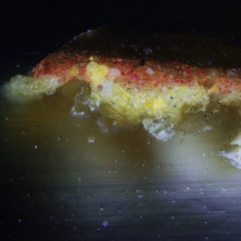 Cross Section Article