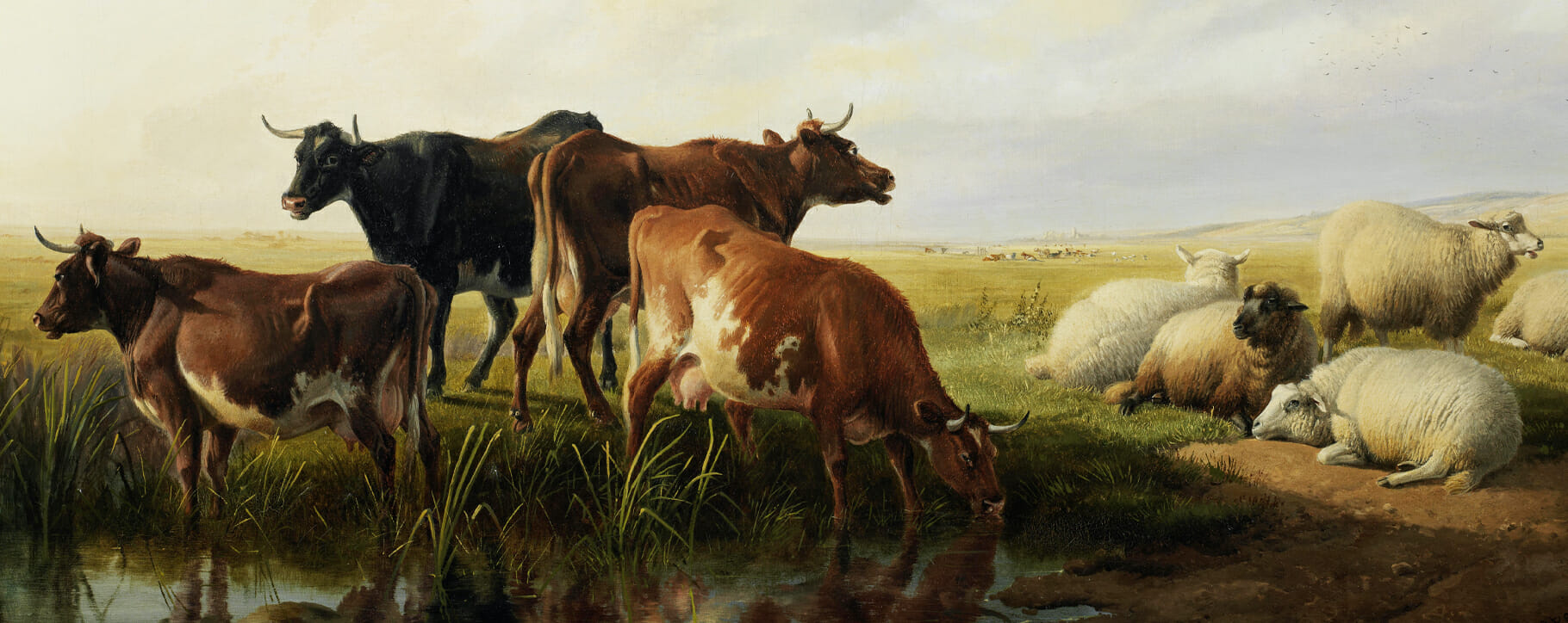 Thomas Sidney Cooper cows
