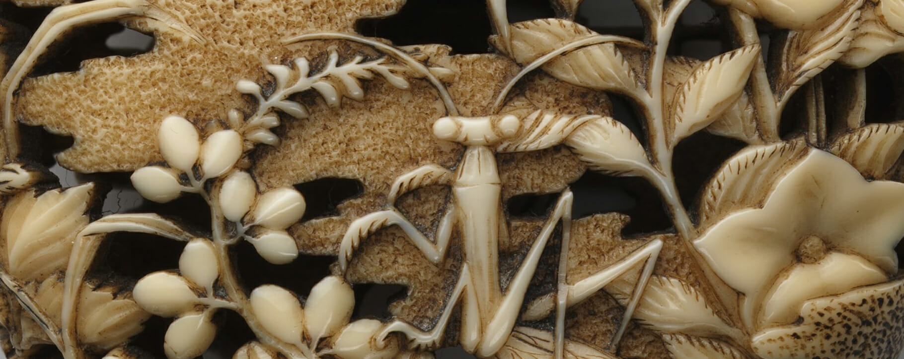Ivory detail