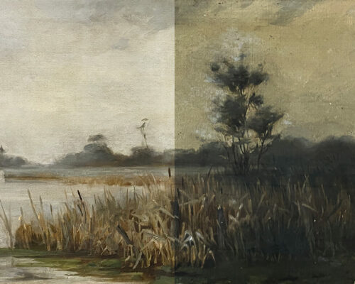 Discoloured reed landscape