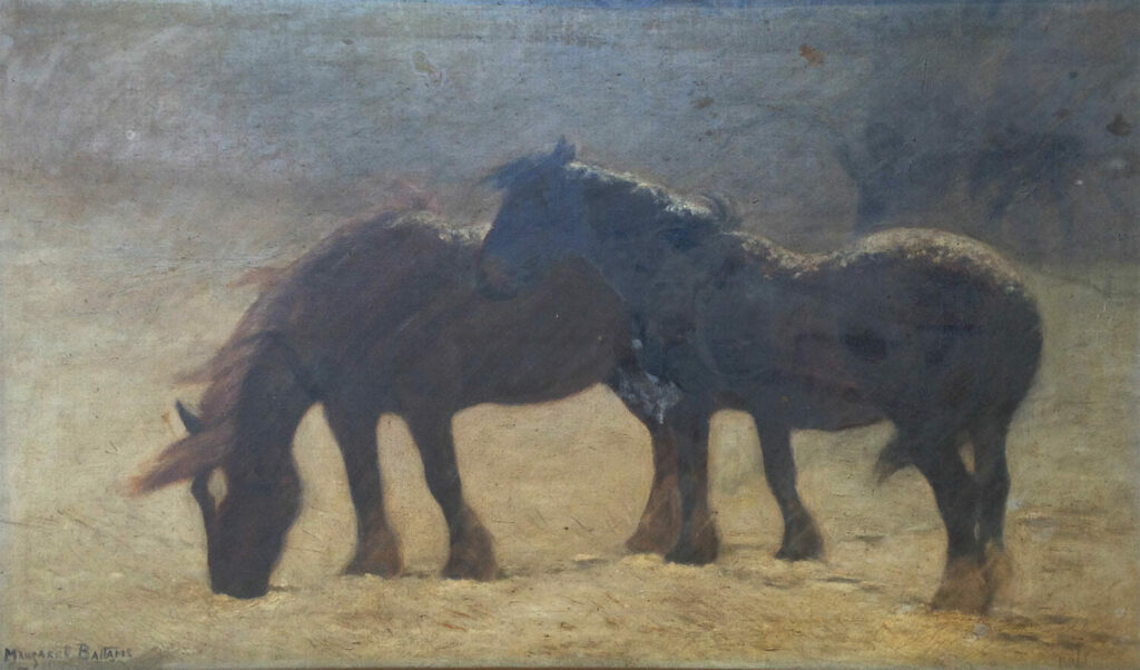 Horses before