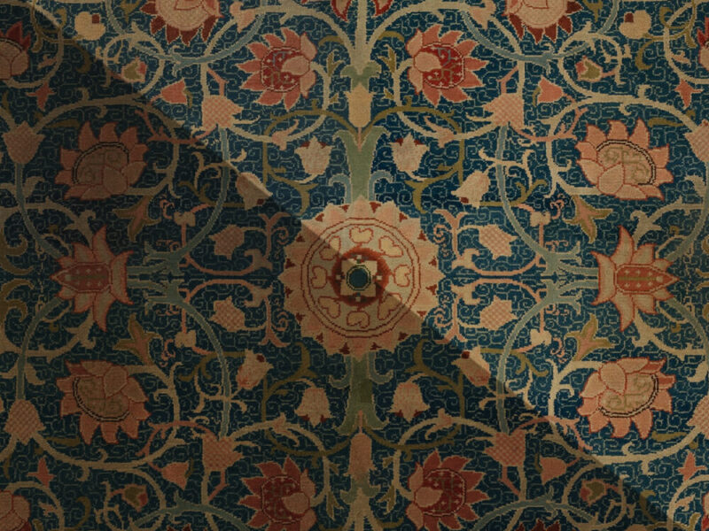 professional rug cleaning services