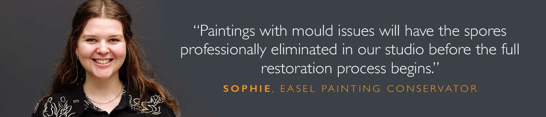 sophie quote about removing mould from paintings