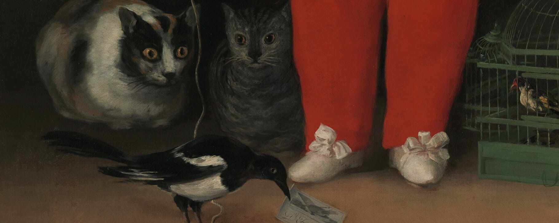 Goya cat detail