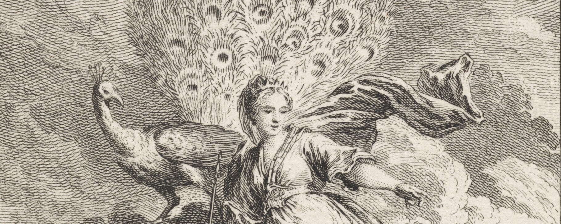 Juno peacock etching