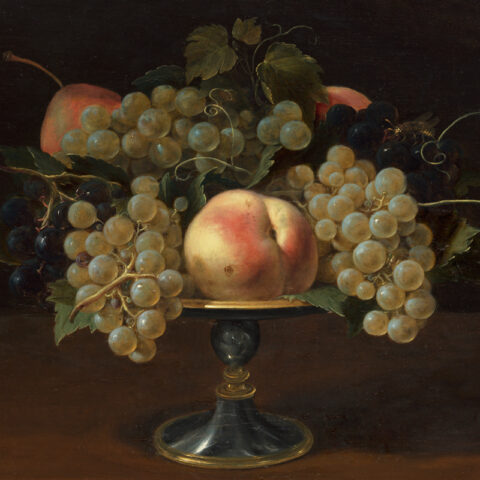 Fruit article