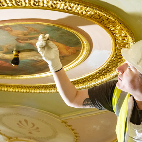 Robert Adam Interiors - Ceiling