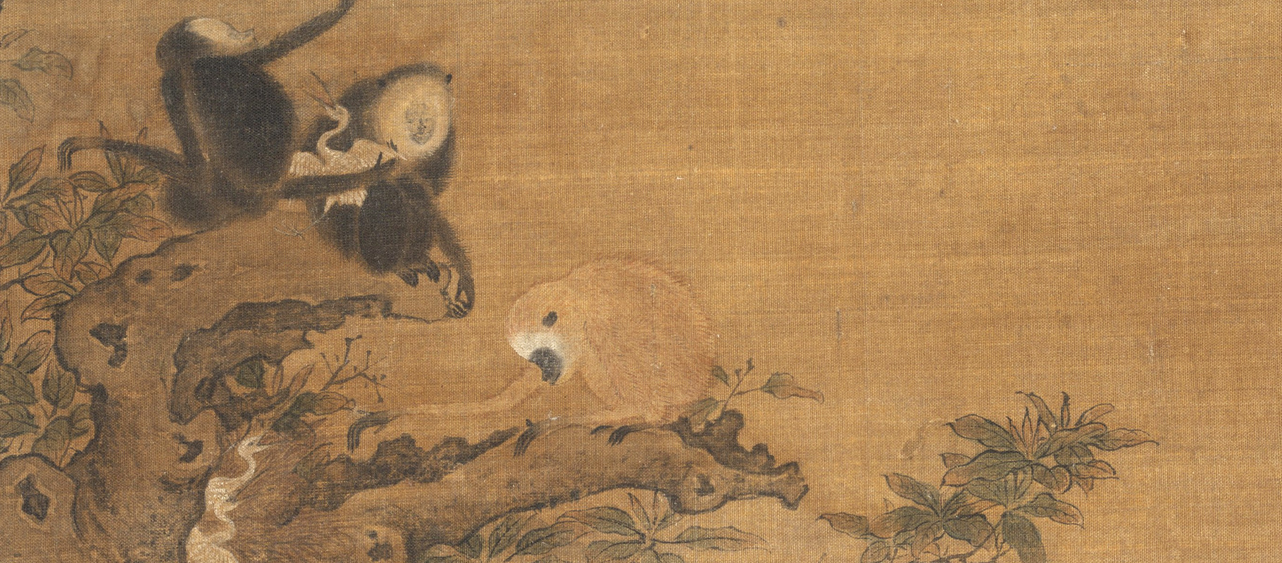 Gibbons