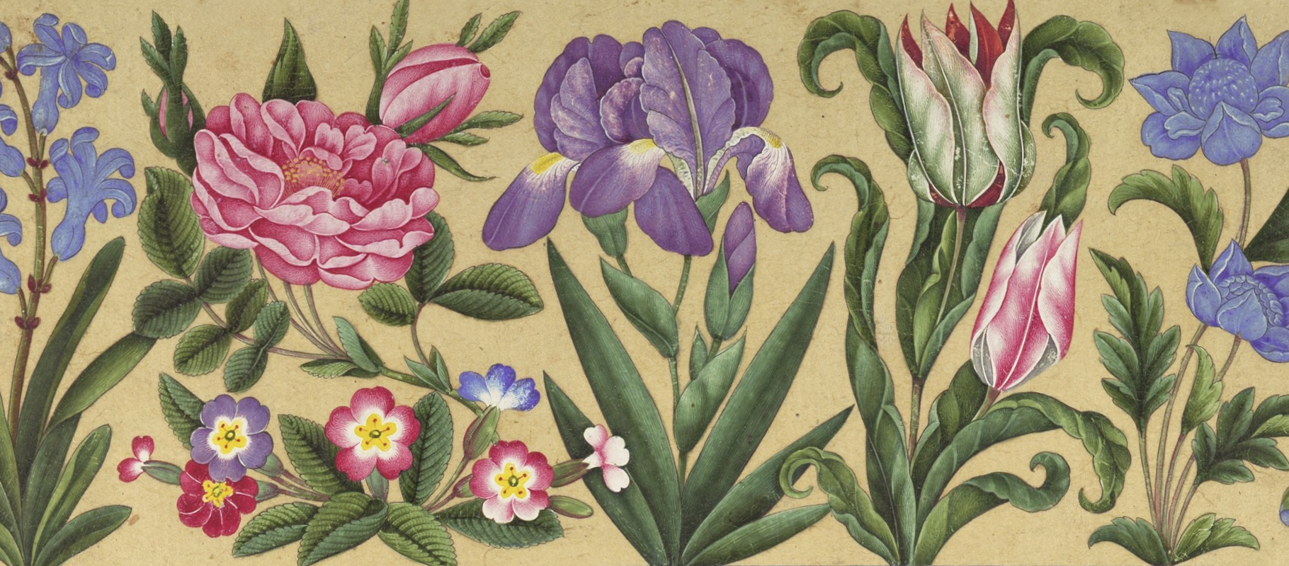 Gouache flowers persian