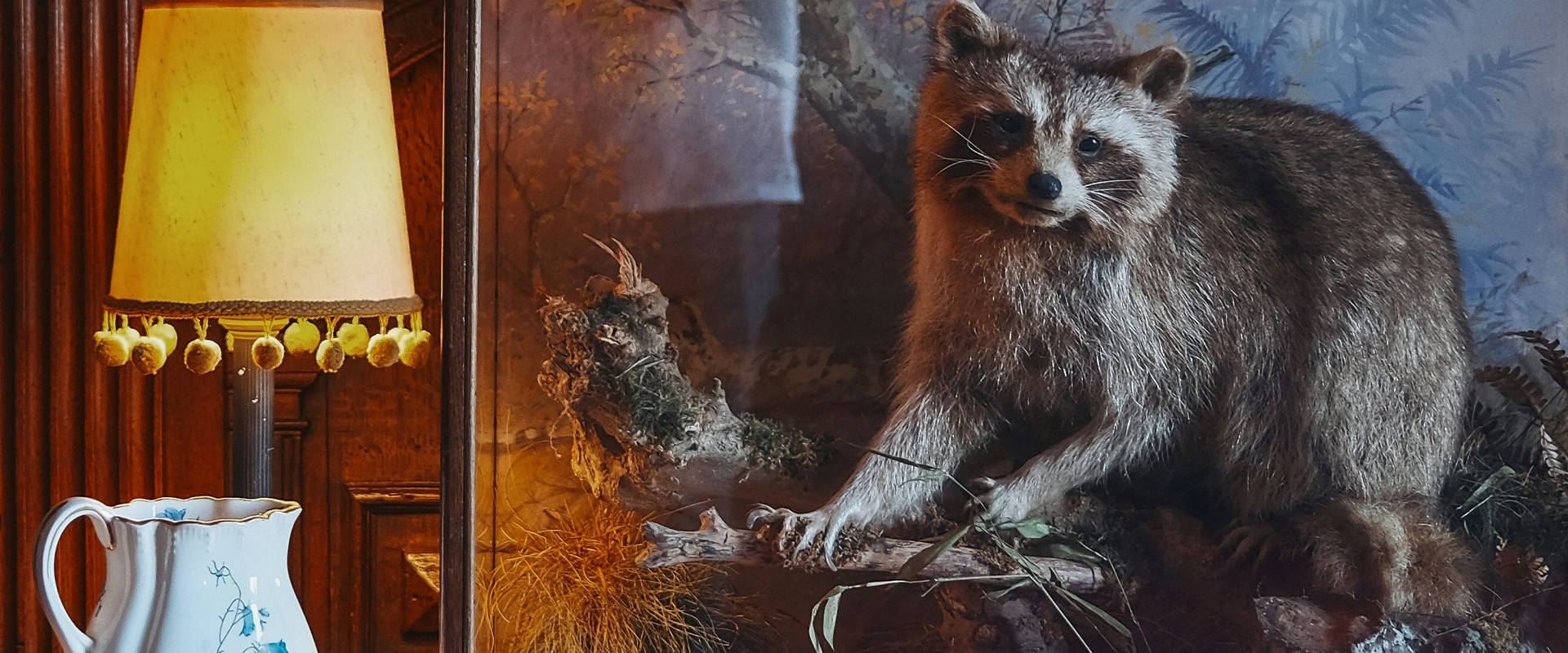 Taxidermy in case