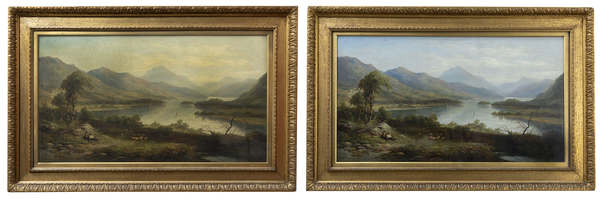 Discoloured landscape