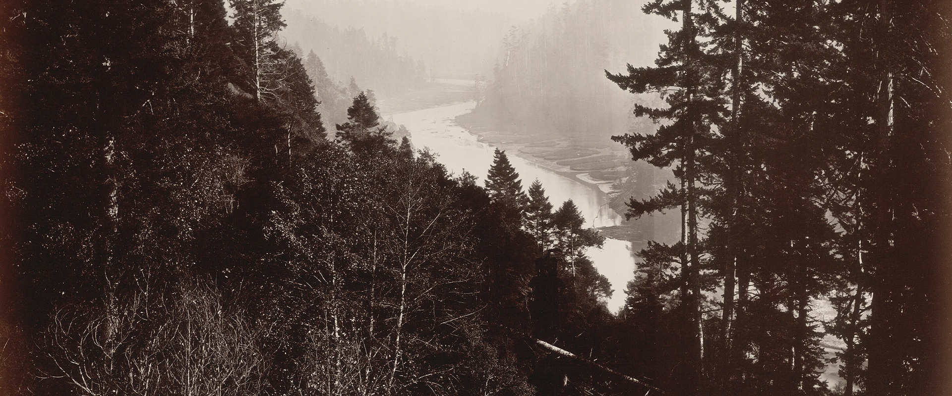 Albumen Print