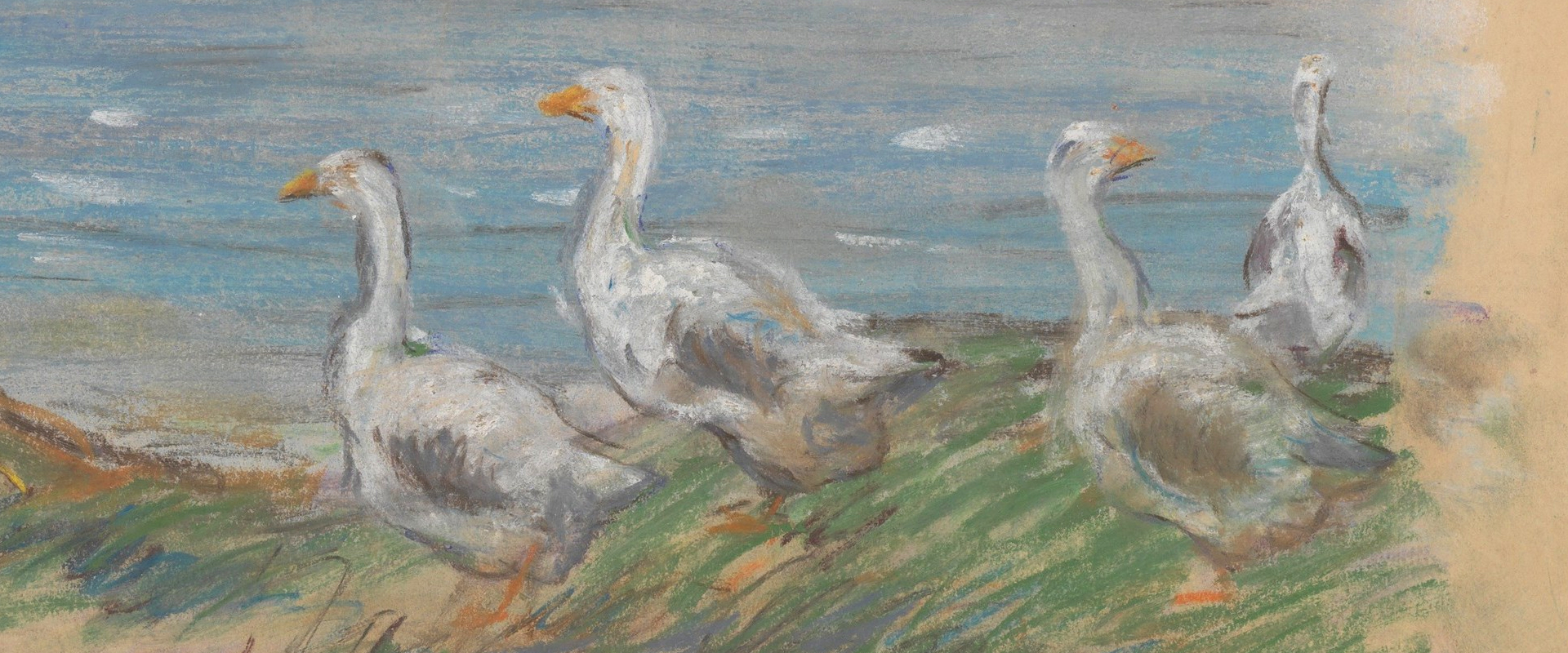 Pastel Detail