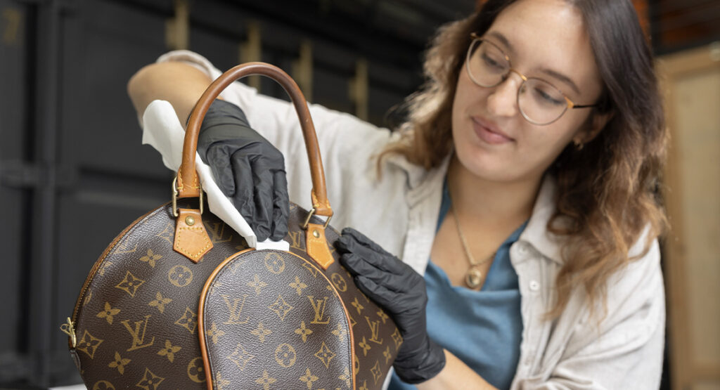 Louis Vuitton Handbag Care
