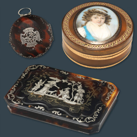 Tortoiseshell Restoration