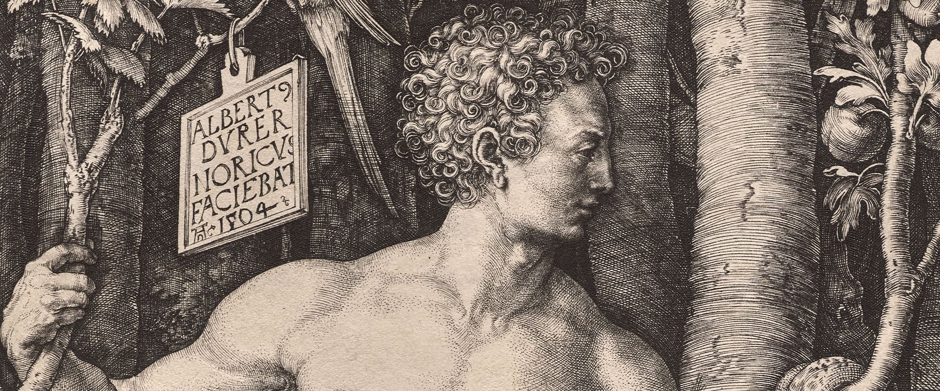 Durer Signature
