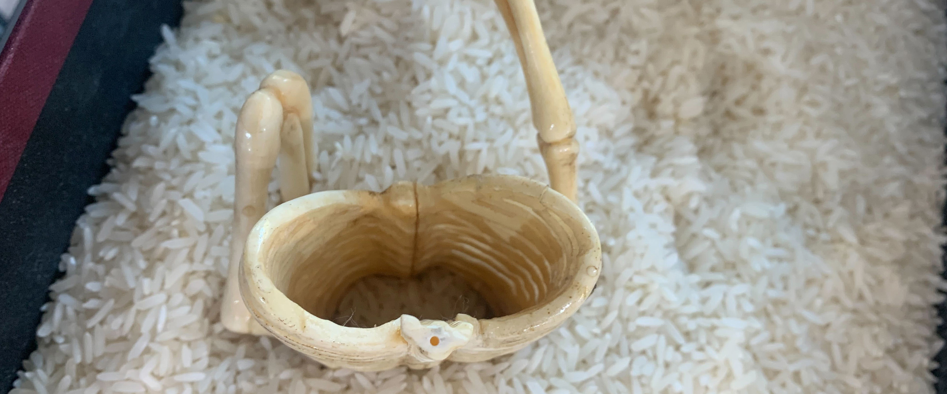 Bone Conservation