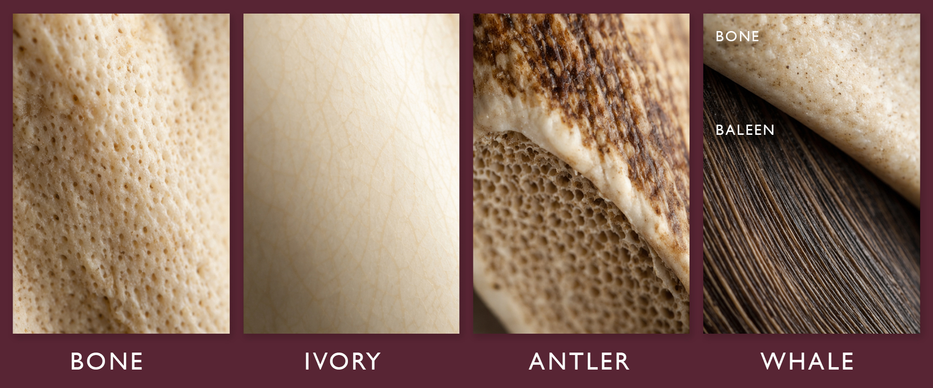 Types of Antique Bone