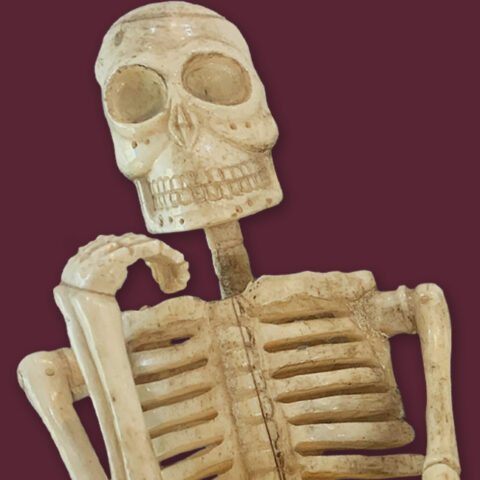 Skeleton Article