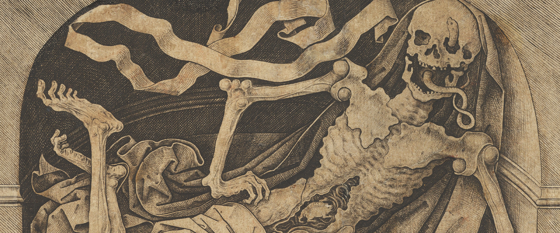 Antique Skeleton Print