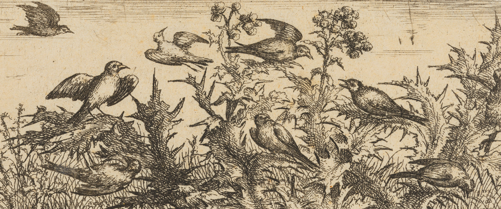Albert Flamen Etching 
