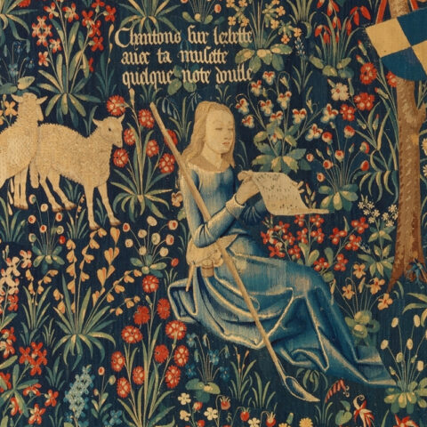 Tapestry Conservation