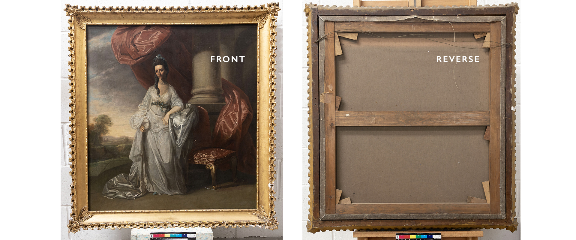 Conservation Intake Photographs