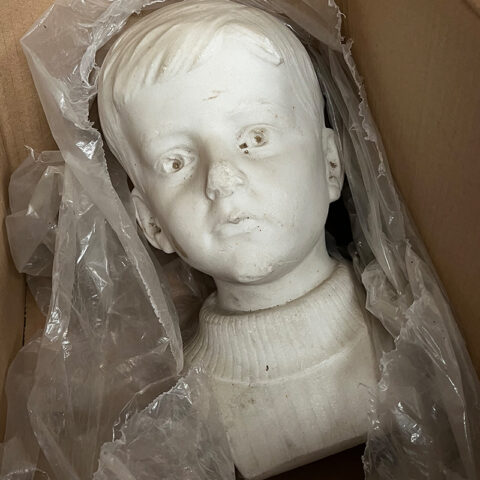 Bust Case Study