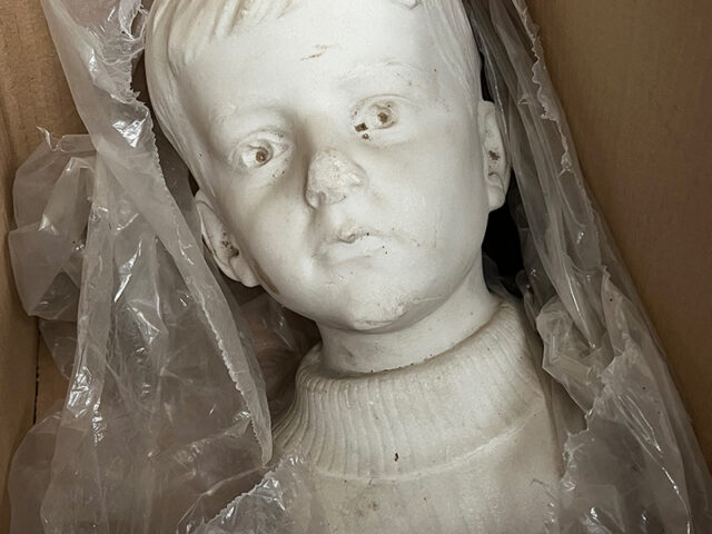 Bust Case Study